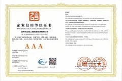 企業(yè)信用等級(jí)證書(一)